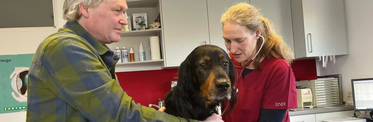 Kleintierpraxis hund